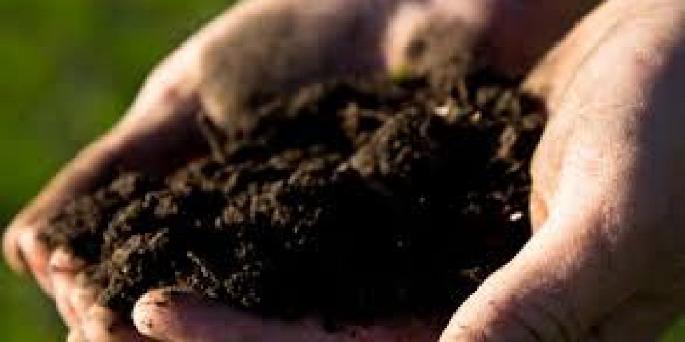 Bezpłatne wykonanie badań gleb na gruntach rolnych